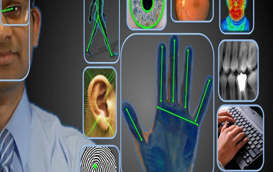 What are the benefits of biometric technology applications