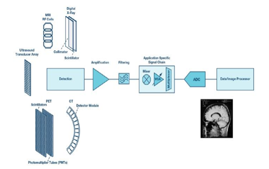 Interpretation and status analysis of the core areas of medical image processing